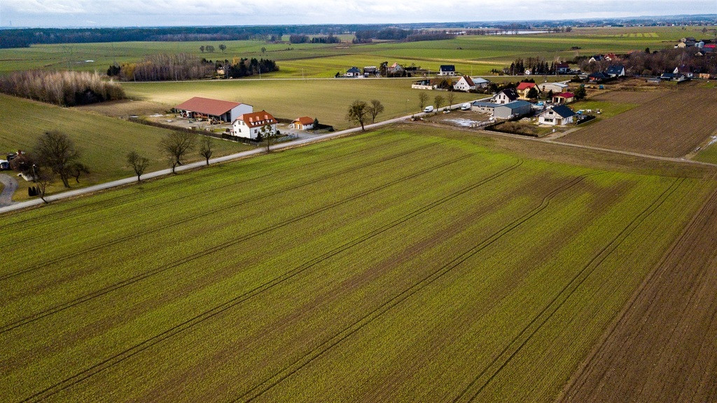 Działka Sprzedaż Stępin 10